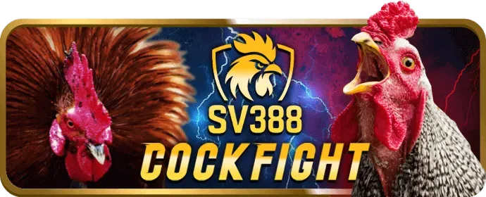 Phân tích độ biến động và cơ hội trúng jackpot